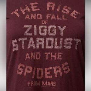 Torrid Burgundy long sleeve hooded Graphic Tee